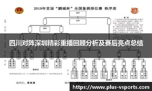 四川对阵深圳精彩重播回顾分析及赛后亮点总结